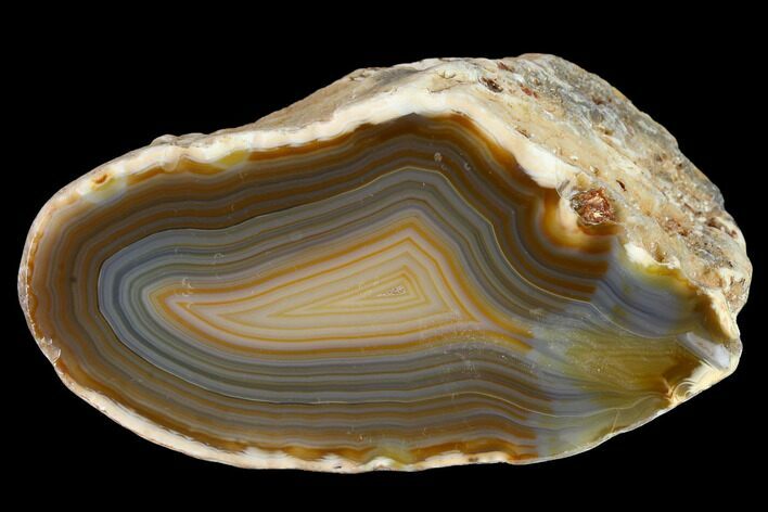 Cut & Polished Brazilian Agate With Colorful Banding #146278